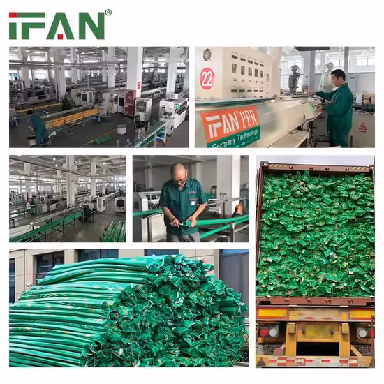Ifan Commercio all'ingrosso plastica verde PPR materiale idraulico raccordi valvola a sfera in ottone ad alta pressione Pn25